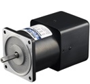 Speed Control Motor