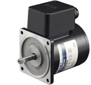 2 Pole Motor